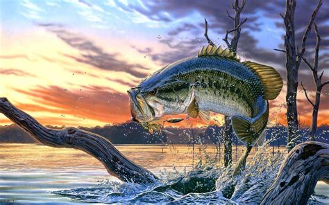 Bass Fishing Wallpaper Backgrounds.
